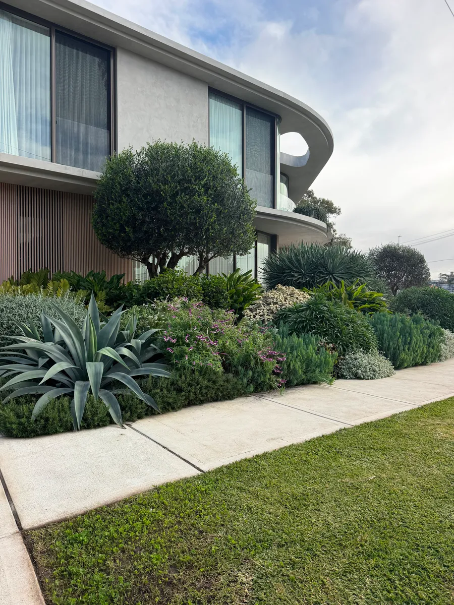 The council footpath running along the front of the Drummoyne property beside the garden beds