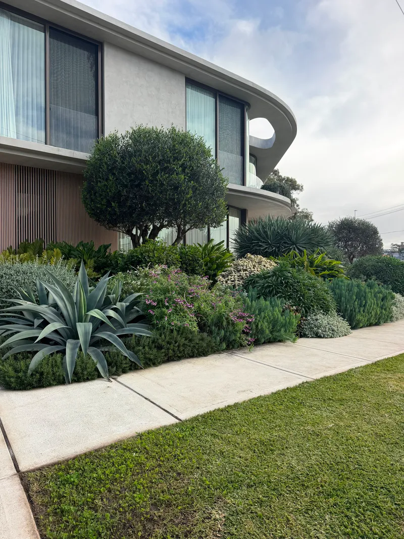 The council footpath running along the front of the Drummoyne property beside the garden beds