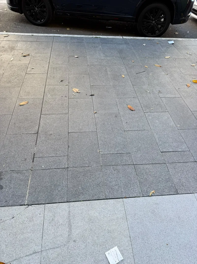 The footpath near the site in Meadowbank